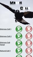 Magpie & Crow Calls 截图 2