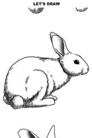 How to Draw Rabbits پوسٹر