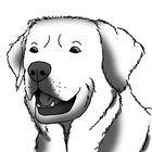 How to Draw Dogs 아이콘
