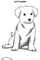 How to Draw Dogs 포스터