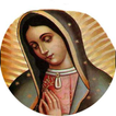 La Virgen de Guadalupe 2.0