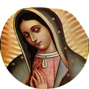 La Virgen de Guadalupe 2.0 APK