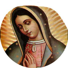 La Virgen de Guadalupe 2.0 icône