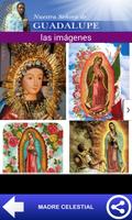 La Virgen de Guadalupe 2.0 capture d'écran 2