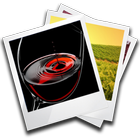 Fotos vinos y bodegas icône