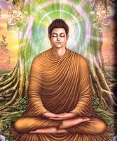 Bodhi Pooja Offline 截圖 1