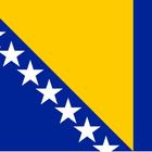 Ustav Bosne i Hercegovine icône
