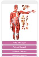 Las partes del cuerpo humano : Anatomía humana capture d'écran 1