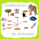 Clasificación de los Animales APK