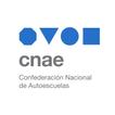 CNAE アイコン