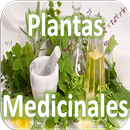 Plantas Medicinales APK