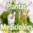 Plantas Medicinales icône