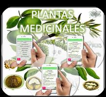 Plantas Medicinales تصوير الشاشة 2