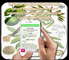 Plantas Medicinales capture d'écran 3