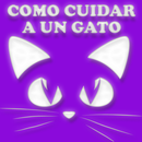 Como cuidar a un gato - guia de cuidados APK