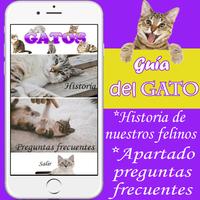 Como cuidar a un gato - guia de cuidados capture d'écran 1