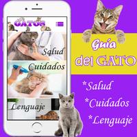 Como cuidar a un gato - guia de cuidados ảnh chụp màn hình 2