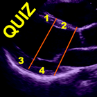 ECHO HEART WALL SEGMENTS QUIZ icône