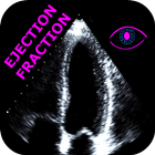 HEART EJECTION FRACTION icône