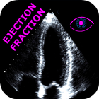 HEART EJECTION FRACTION biểu tượng