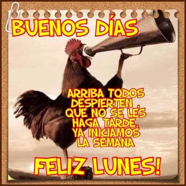 Saludos diarios for Android - APK Download