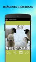 Imágenes graciosas скриншот 2