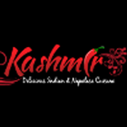 Kashmir icône
