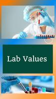 Lab Values Adult & Pediatric Affiche