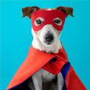 Los perros mas tiernos del mundo APK
