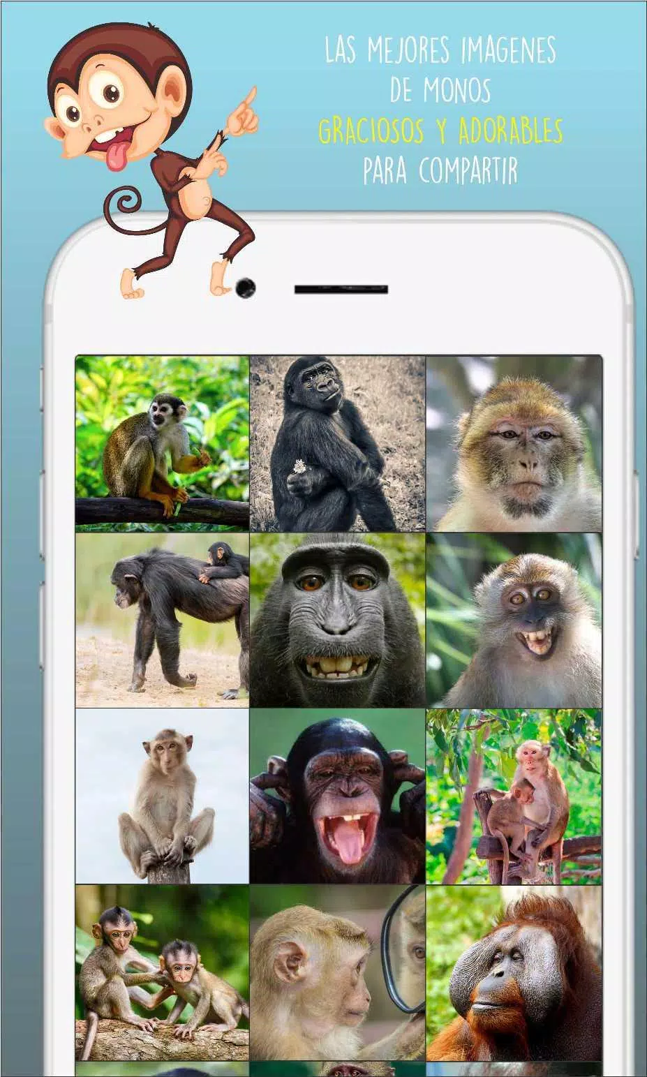 Monos graciosos y adorables APK for Android Download Monos graciosos y adorables APK for Android Download