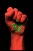 Morocco flag map تصوير الشاشة 3