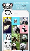 Osos Panda tiernos Poster