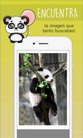 Osos Panda tiernos captura de pantalla 3