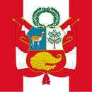 Constitución Política del Perú de 1993 aplikacja