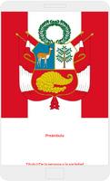 Constitución Política del Perú poster