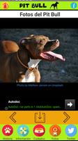 Pit Bull Terrier تصوير الشاشة 2