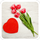 Poemas con flores APK