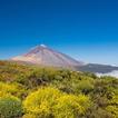 P.N. del Teide