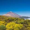 P.N. del Teide APK