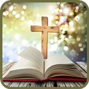 Preguntas y Respuestas Biblia-APK