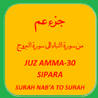 Quran Surah Juz Salaseen icône