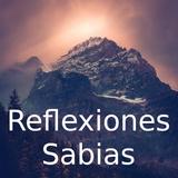 آیکون‌ Reflexiones Sabias