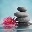 Медитация для снижения веса. П APK