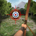 Archery big match