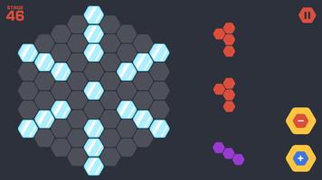 Roi bloc hexagone Affiche