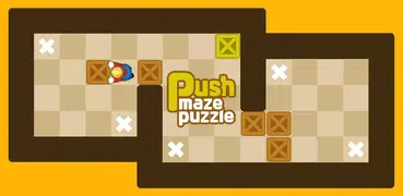 Push Maze Puzzle