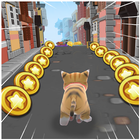 ikon Cats Run