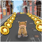 Cats Run icon