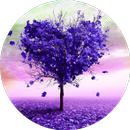خلفيات 2023 APK