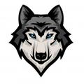 Wolfteam Kasım Ayı Uygulaması